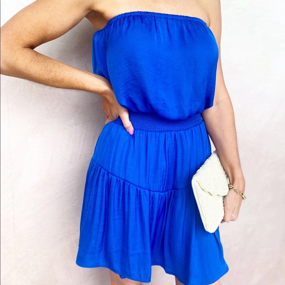 Naked Zebra Blue Strapless Dress